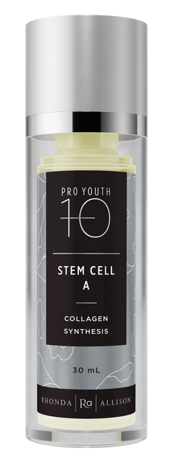 Stem Cell A